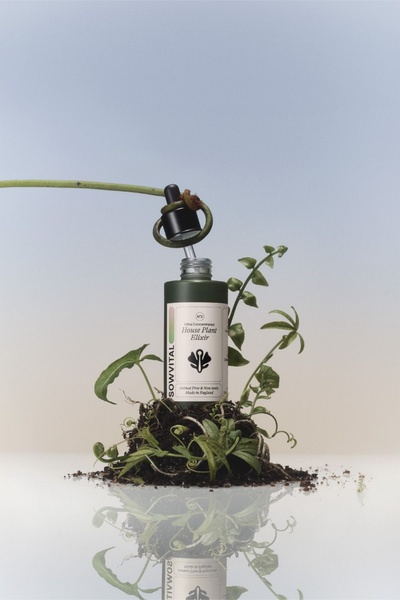 A high-end, minimalist product shot showing a dropper bottle of plant elixir surrounded by soil and leaves against a soft, gradient sky-blue backdrop.